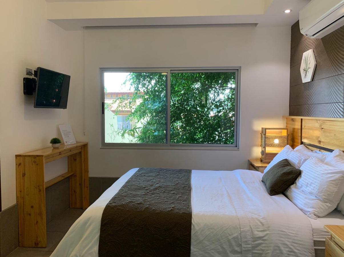 Aranjuez Lofts Santa Ana * Santa Ana (San Jose)