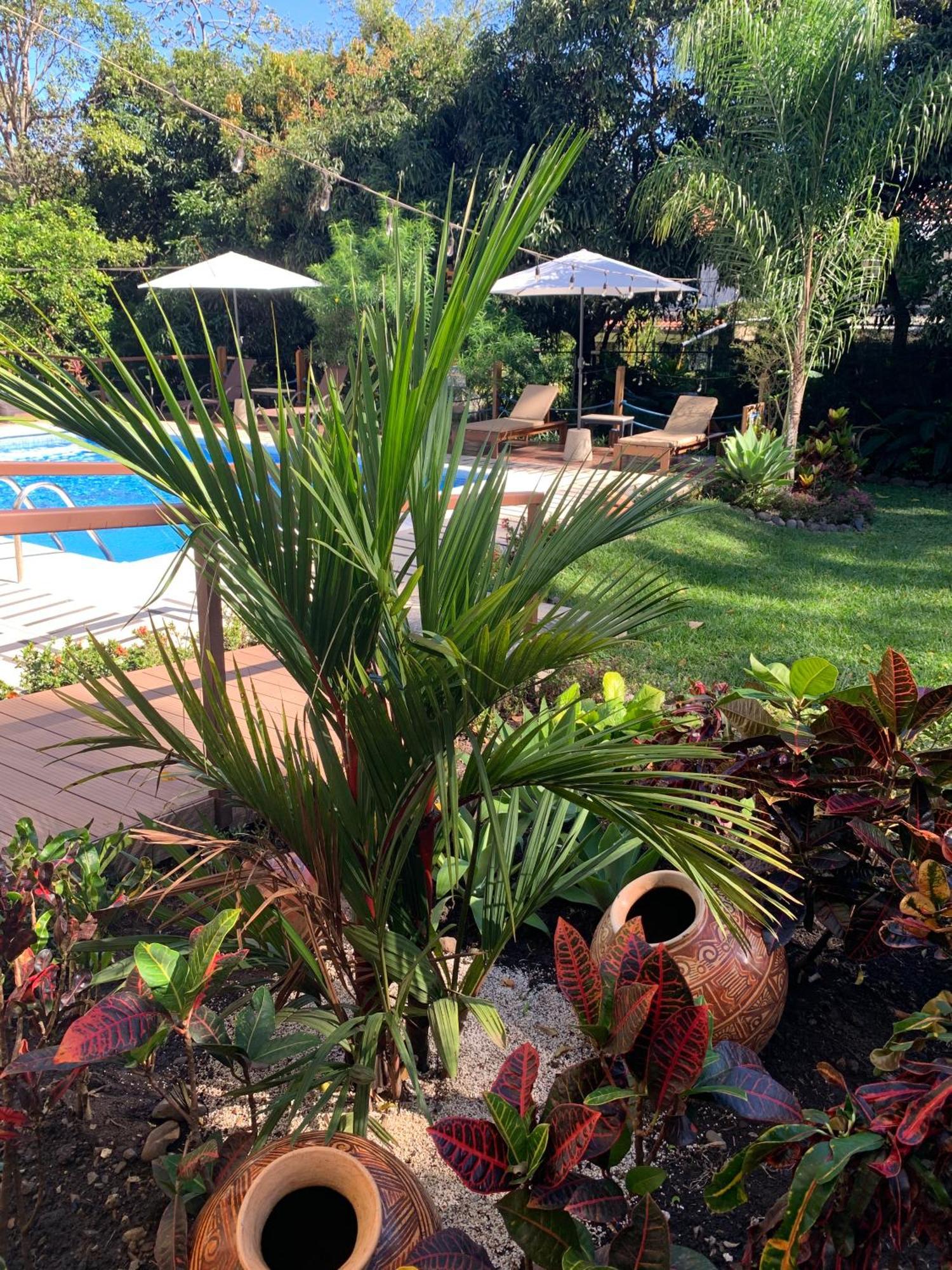 Apartment Aranjuez Lofts Santa Ana Santa Ana (San Jose)